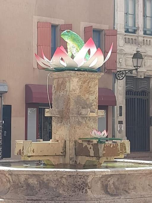 La Petite Pelerine Daire Narbonne Dış mekan fotoğraf