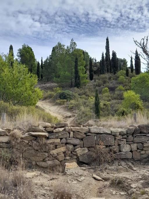 La Petite Pelerine Daire Narbonne Dış mekan fotoğraf